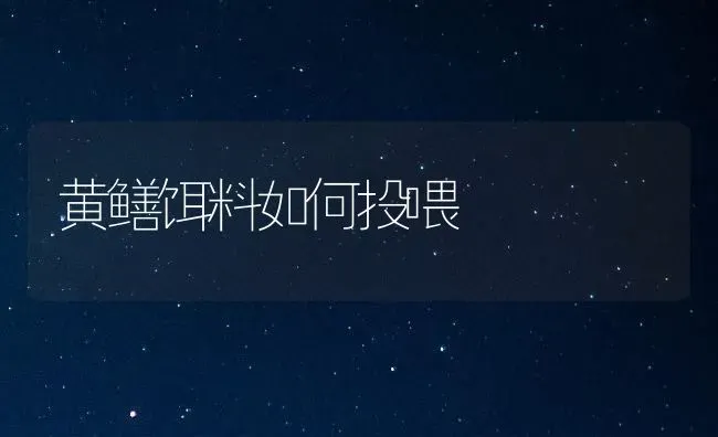 黄鳝饵料如何投喂 | 养殖知识