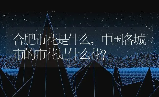 合肥市花是什么,中国各城市的市花是什么花？ | 养殖科普