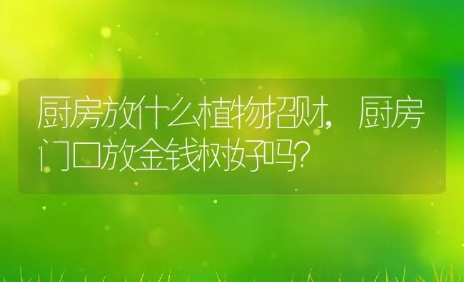 厨房放什么植物招财,厨房门口放金钱树好吗？ | 养殖科普