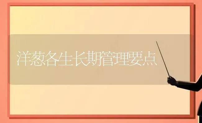 洋葱各生长期管理要点 | 养殖技术大全