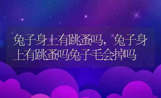 兔子身上有跳蚤吗,兔子身上有跳蚤吗兔子毛会掉吗 | 养殖资料