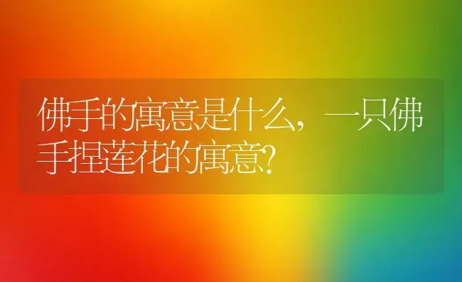 佛手的寓意是什么,一只佛手捏莲花的寓意？ | 养殖科普