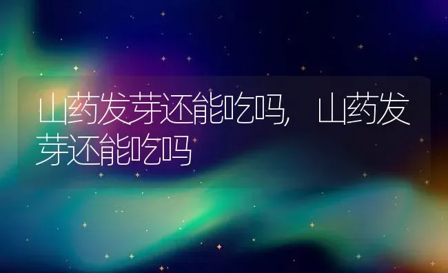 山药发芽还能吃吗,山药发芽还能吃吗 | 养殖科普