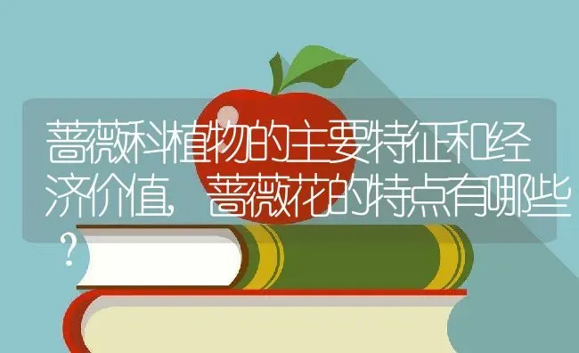 蔷薇科植物的主要特征和经济价值,蔷薇花的特点有哪些？ | 养殖科普