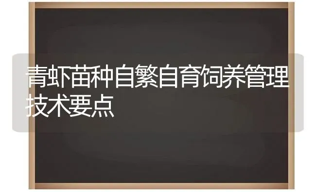 青虾苗种自繁自育饲养管理技术要点 | 养殖技术大全