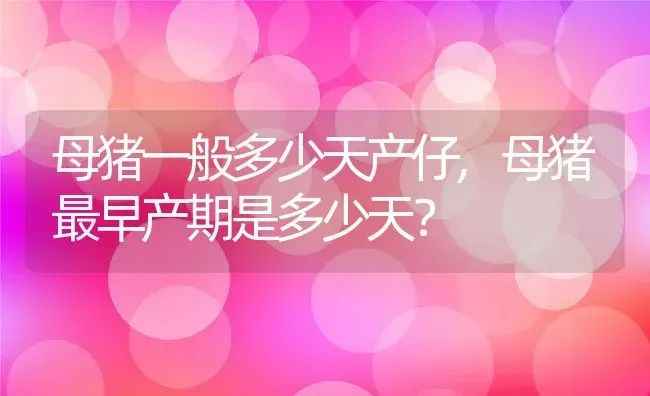 母猪一般多少天产仔,母猪最早产期是多少天？ | 养殖科普