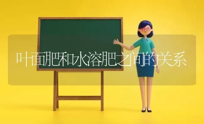 叶面肥和水溶肥之间的关系 | 养殖技术大全