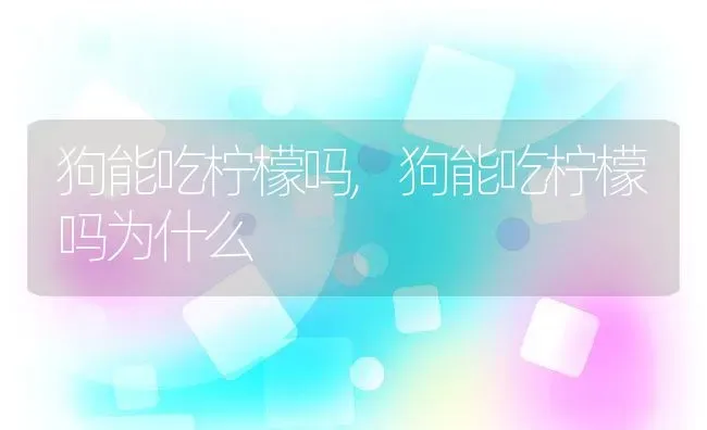 狗能吃柠檬吗,狗能吃柠檬吗为什么 | 养殖科普