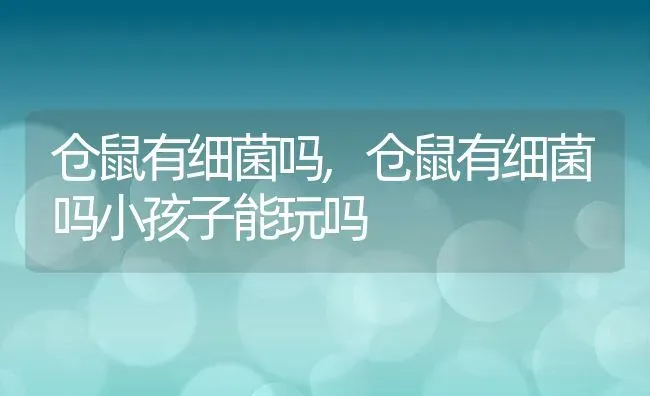 小狗几天会走路,小狗几天会自己大小便 | 养殖科普