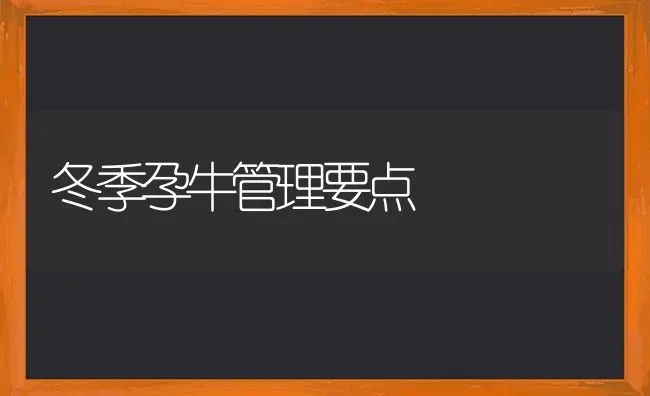 冬季孕牛管理要点 | 养殖知识