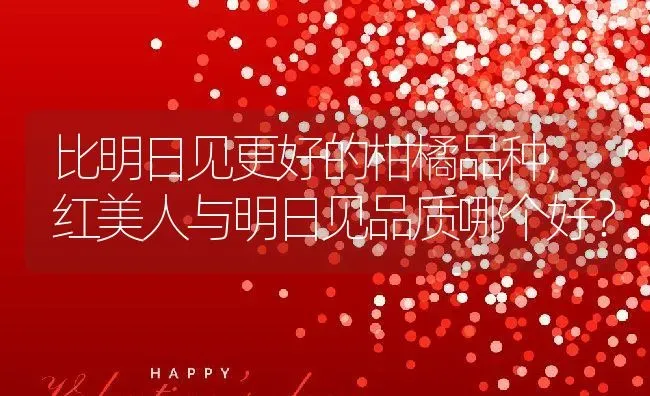 比明日见更好的柑橘品种,红美人与明日见品质哪个好？ | 养殖科普