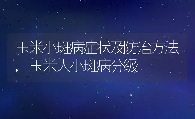 玉米小斑病症状及防治方法,玉米大小斑病分级 | 养殖学堂