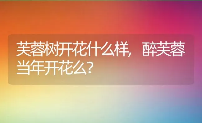 芙蓉树开花什么样,醉芙蓉当年开花么？ | 养殖科普