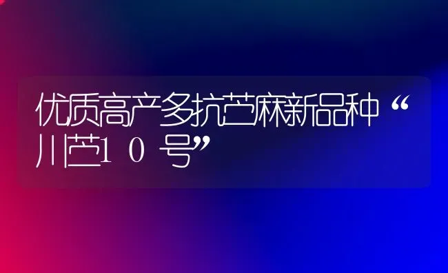 优质高产多抗苎麻新品种“川苎10号” | 养殖知识