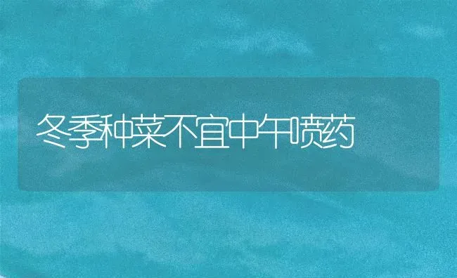 中晚熟甜油桃新品种---秦光2号 | 养殖技术大全