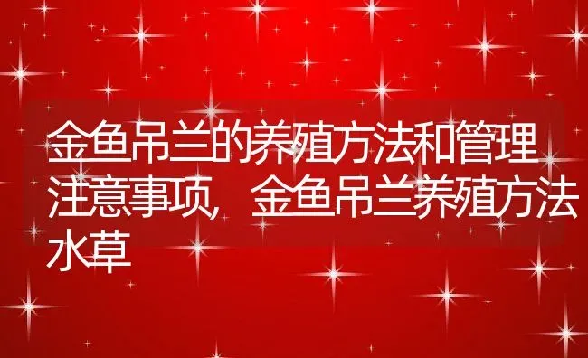 金鱼吊兰的养殖方法和管理注意事项,金鱼吊兰养殖方法水草 | 养殖学堂