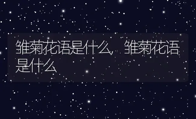 雏菊花语是什么,雏菊花语是什么 | 养殖科普