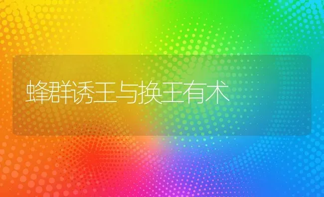 蜂群诱王与换王有术 | 养殖技术大全