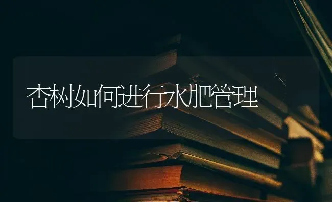 杏树如何进行水肥管理 | 养殖技术大全