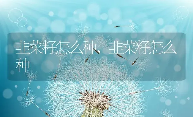 韭菜籽怎么种,韭菜籽怎么种 | 养殖科普