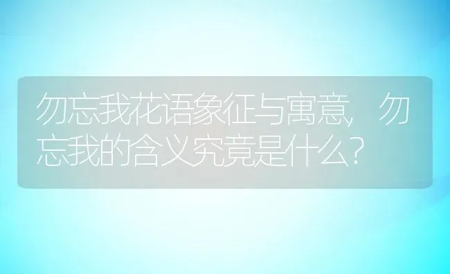 勿忘我花语象征与寓意,勿忘我的含义究竟是什么？ | 养殖科普