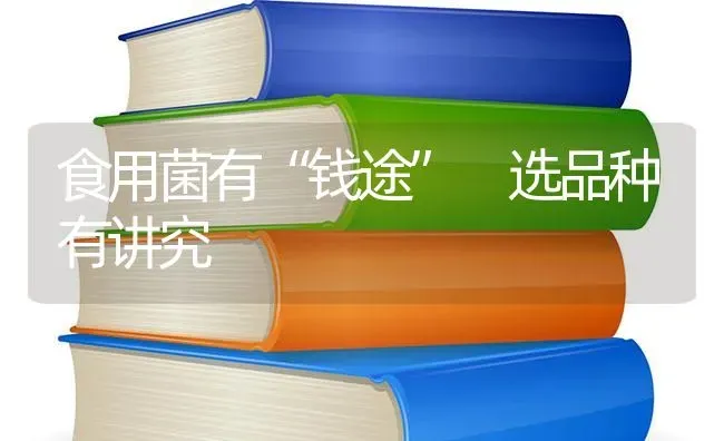 食用菌有“钱途” 选品种有讲究 | 养殖技术大全