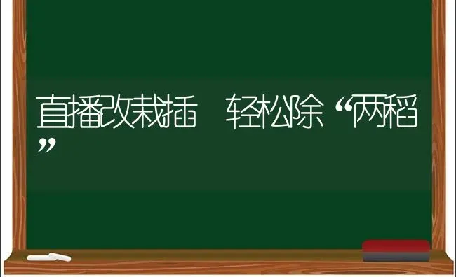 直播改栽插 轻松除“两稻” | 养殖知识