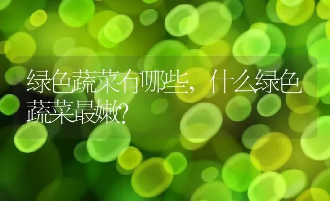 绿色蔬菜有哪些,什么绿色蔬菜最嫩？ | 养殖科普