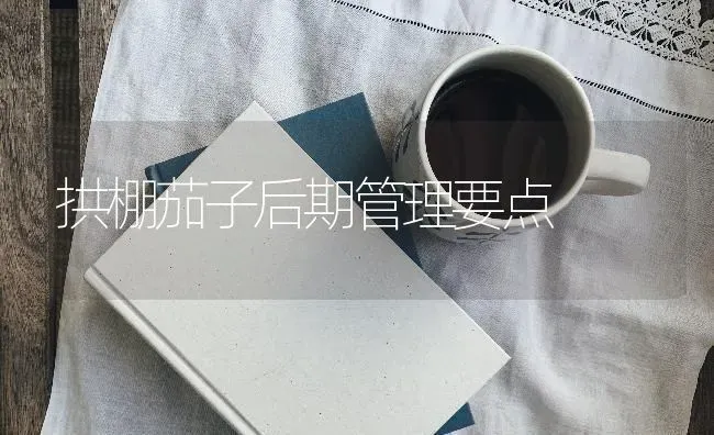云南苏铁 | 养殖技术大全