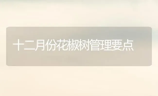 十二月份花椒树管理要点 | 养殖技术大全
