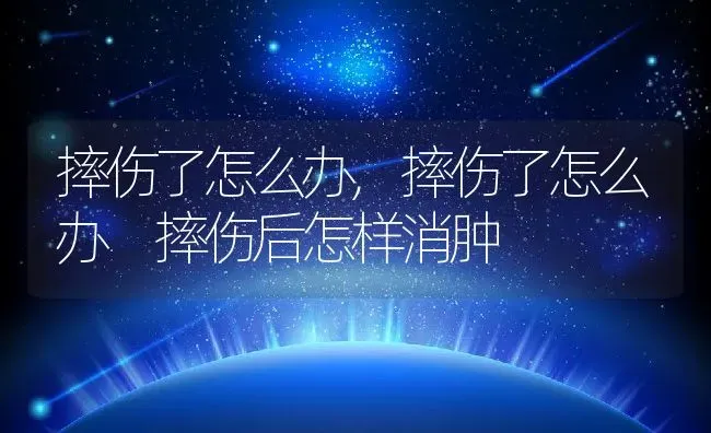 摔伤了怎么办,摔伤了怎么办 摔伤后怎样消肿 | 养殖资料