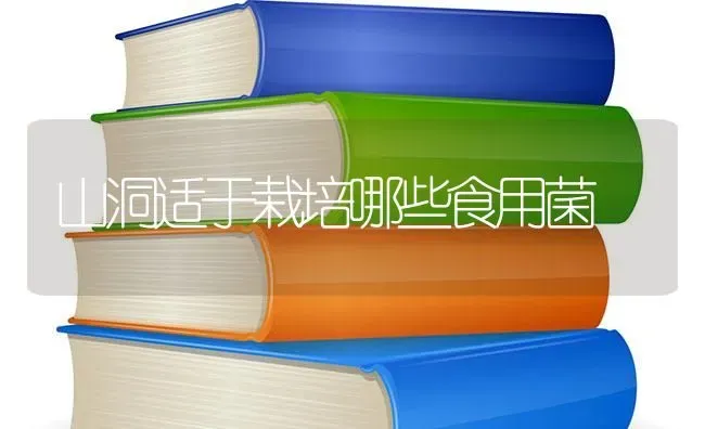 山洞适于栽培哪些食用菌 | 养殖知识