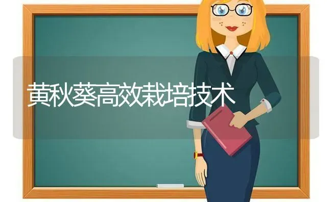 黄秋葵高效栽培技术 | 养殖技术大全