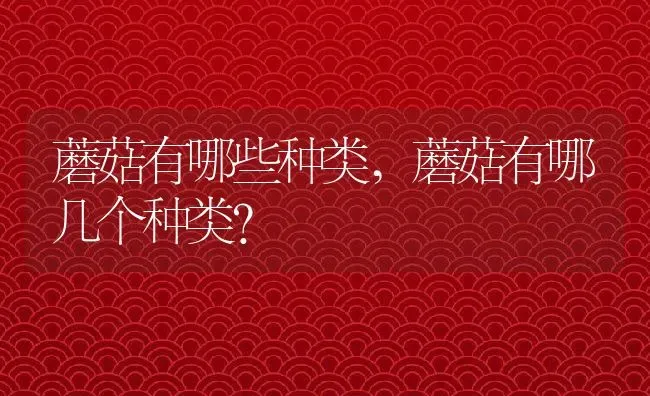 蘑菇有哪些种类,蘑菇有哪几个种类？ | 养殖科普