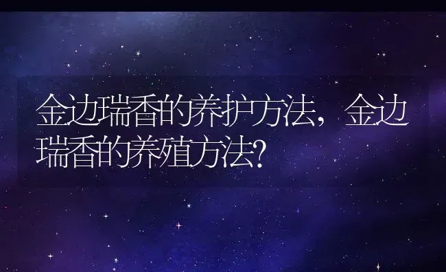 金边瑞香的养护方法,金边瑞香的养殖方法？ | 养殖科普