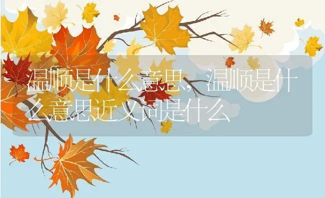 温顺是什么意思,温顺是什么意思近义词是什么 | 养殖资料