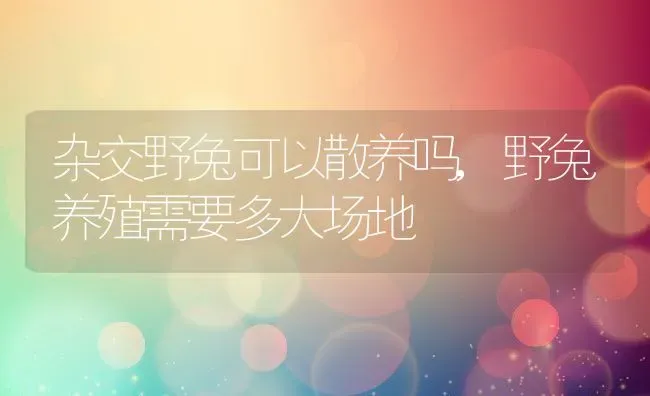 杂交野兔可以散养吗,野兔养殖需要多大场地 | 养殖学堂