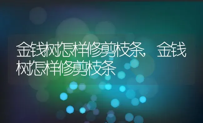 金钱树怎样修剪枝条,金钱树怎样修剪枝条 | 养殖学堂