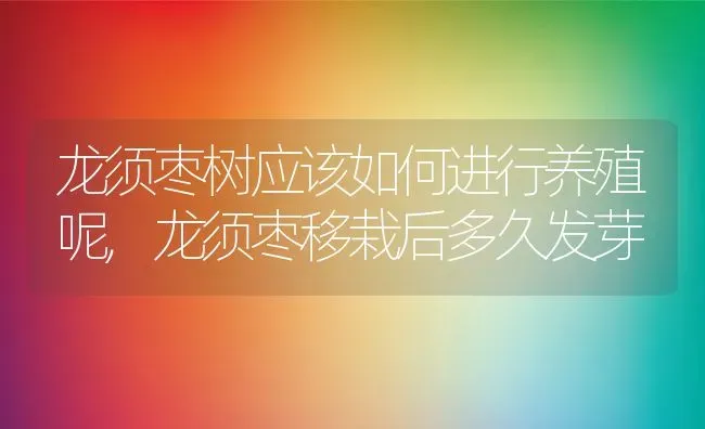 龙须枣树应该如何进行养殖呢,龙须枣移栽后多久发芽 | 养殖科普