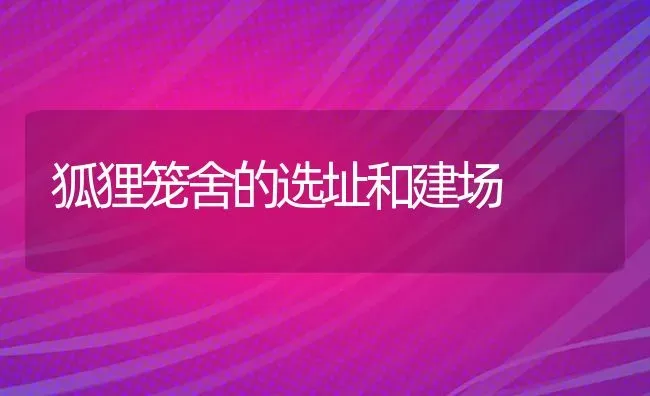 狐狸笼舍的选址和建场 | 养殖知识