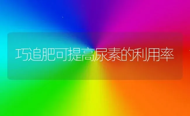 巧追肥可提高尿素的利用率 | 养殖知识