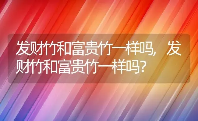 发财竹和富贵竹一样吗,发财竹和富贵竹一样吗？ | 养殖科普