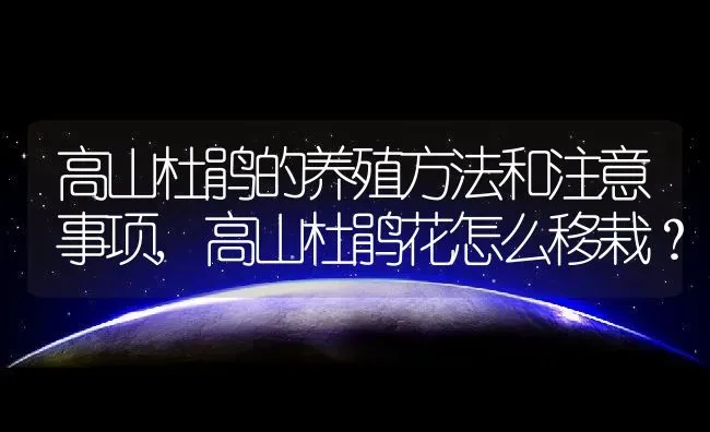 高山杜鹃的养殖方法和注意事项,高山杜鹃花怎么移栽？ | 养殖科普