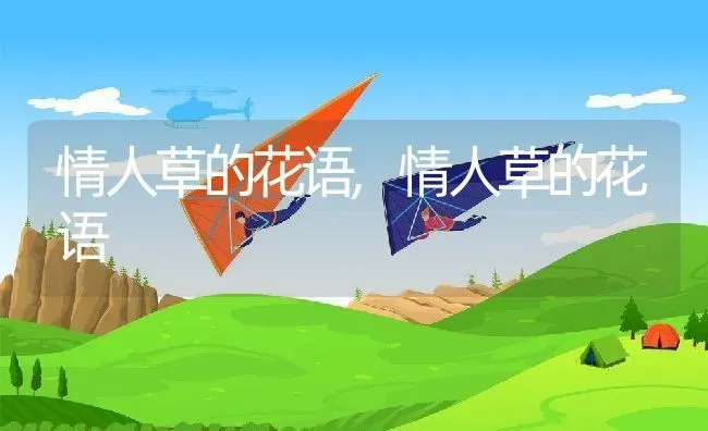 情人草的花语,情人草的花语 | 养殖科普