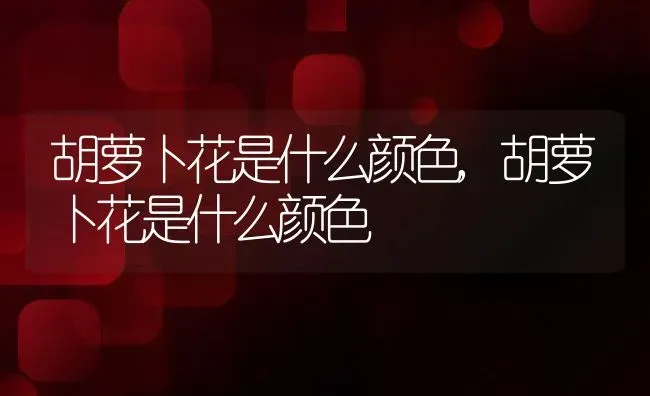 胡萝卜花是什么颜色,胡萝卜花是什么颜色 | 养殖科普