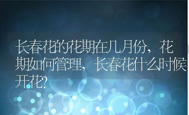 长春花的花期在几月份，花期如何管理,长春花什么时候开花？ | 养殖科普