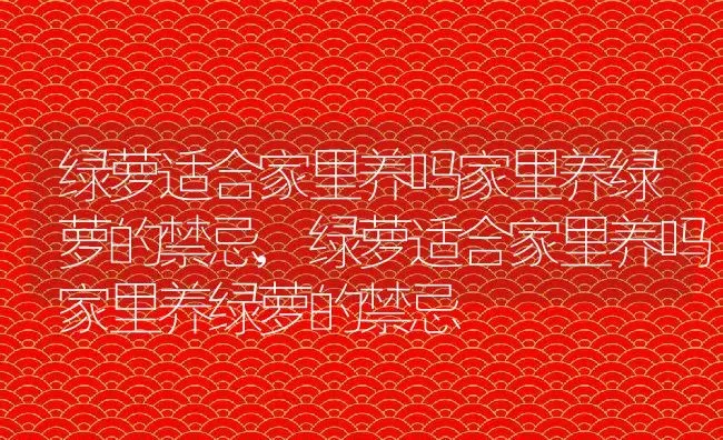 绿萝适合家里养吗家里养绿萝的禁忌,绿萝适合家里养吗家里养绿萝的禁忌 | 养殖科普