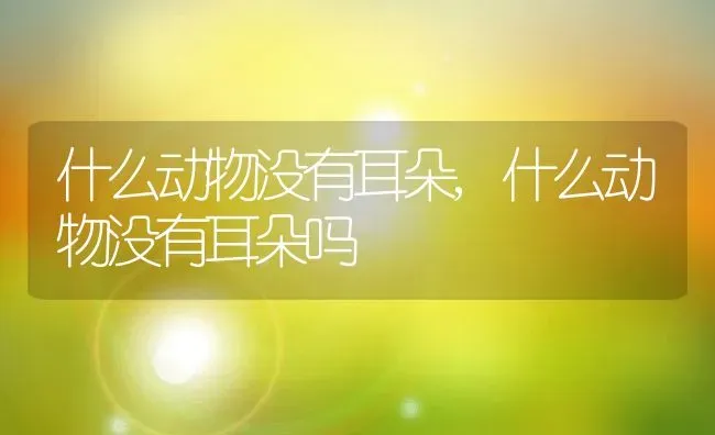 什么动物没有耳朵,什么动物没有耳朵吗 | 养殖科普