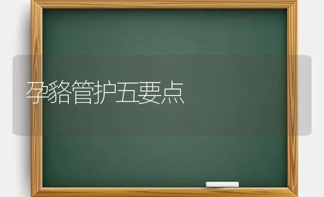 孕貉管护五要点 | 养殖技术大全