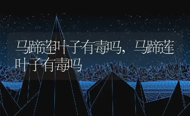 马蹄莲叶子有毒吗,马蹄莲叶子有毒吗 | 养殖科普